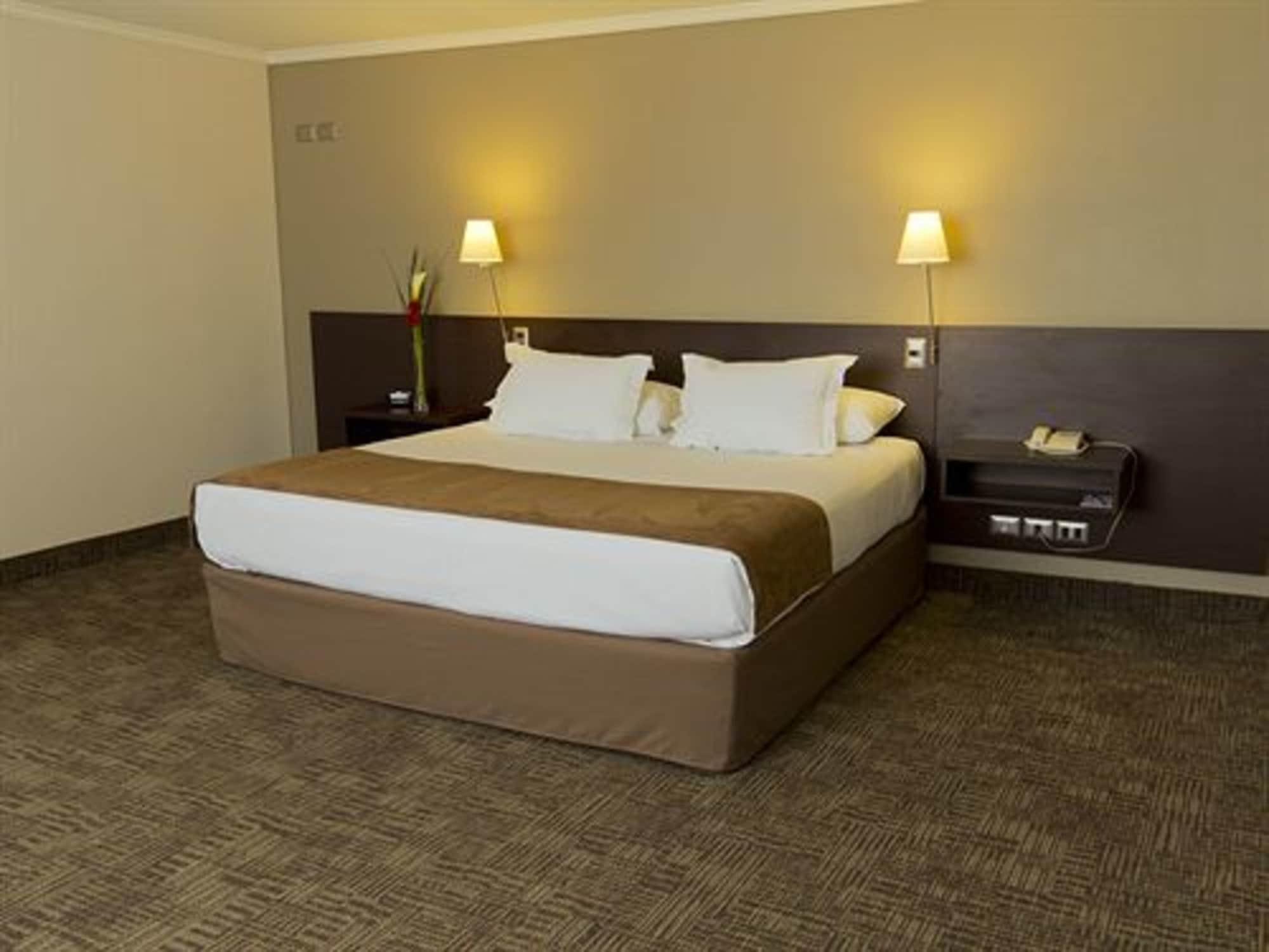 Hotel Director Vitacura Santiago Ngoại thất bức ảnh